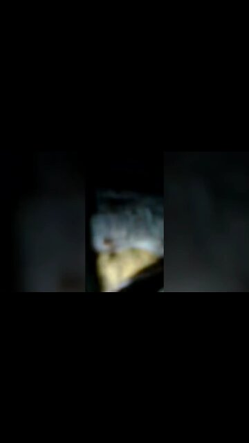 grave robbers found blue alien in grave in peru