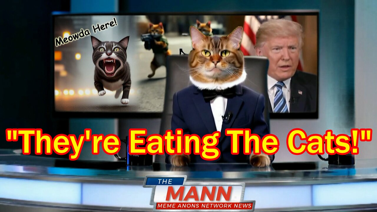 REPORT: Cats Are Being Eaten! - The MANN (The Meme Anons Network News)