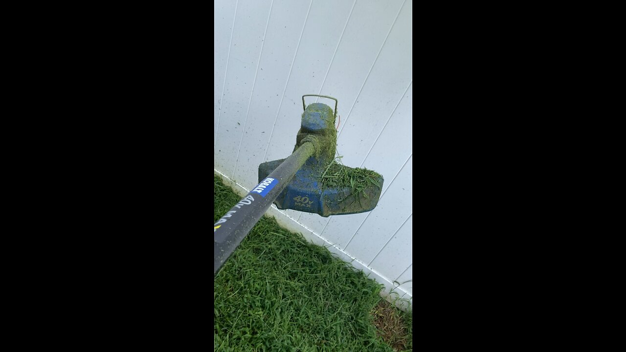 Over grown backyard weed eater part 2