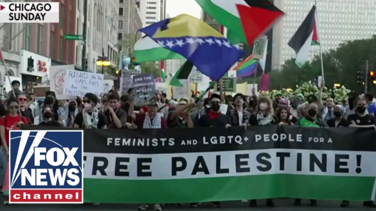 Bombshell report reveals shocking information about anti-Israel protesters at DNC