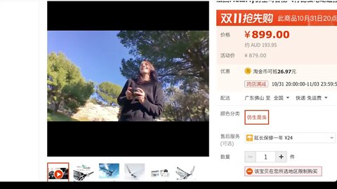 仿生鳥飛行器 - 淘寶有售