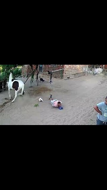 😂funny animal videos 🤣 funniest elephant and horse videos😅😂