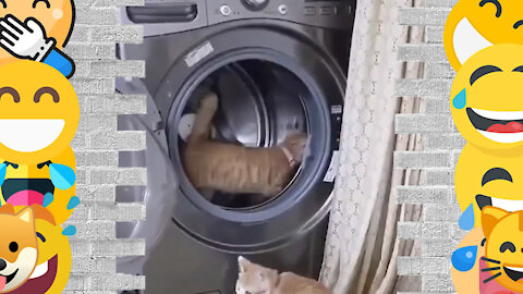 Strolling inside the washing machine