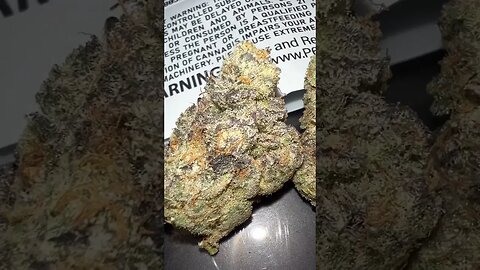 White Wookies Flower (linked video)