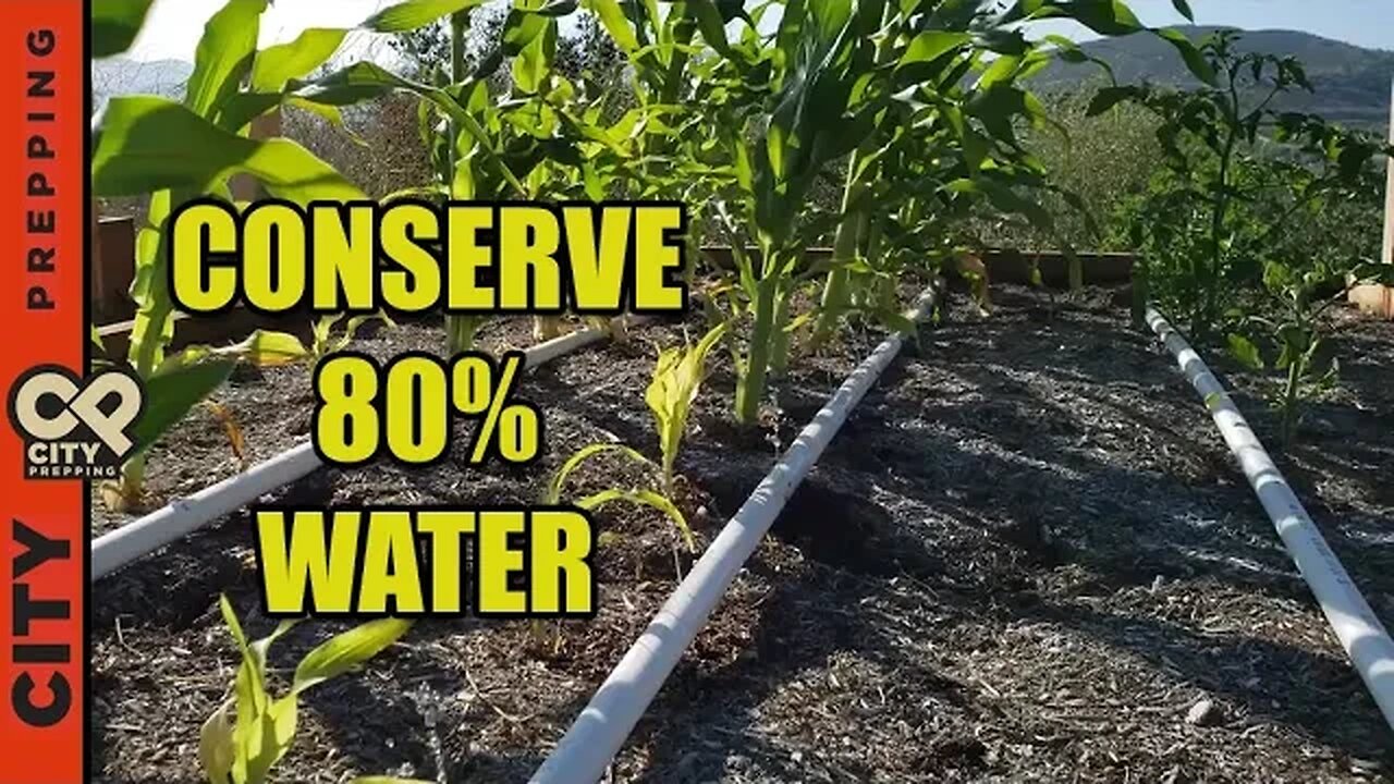 How to build a PVC drip irrigation system