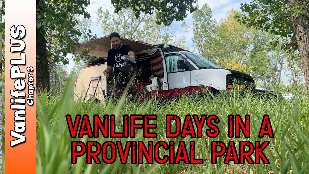 City Vanlife - Carnivore Diet? Cooking in Public & More Internet Idiots