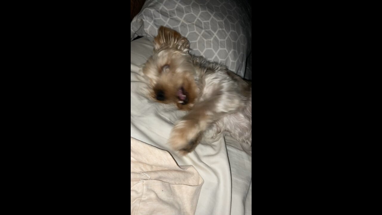 Bedtime fun