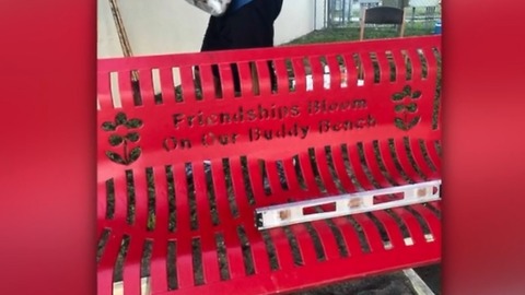 Buddy bench installed at North Grade Elementary