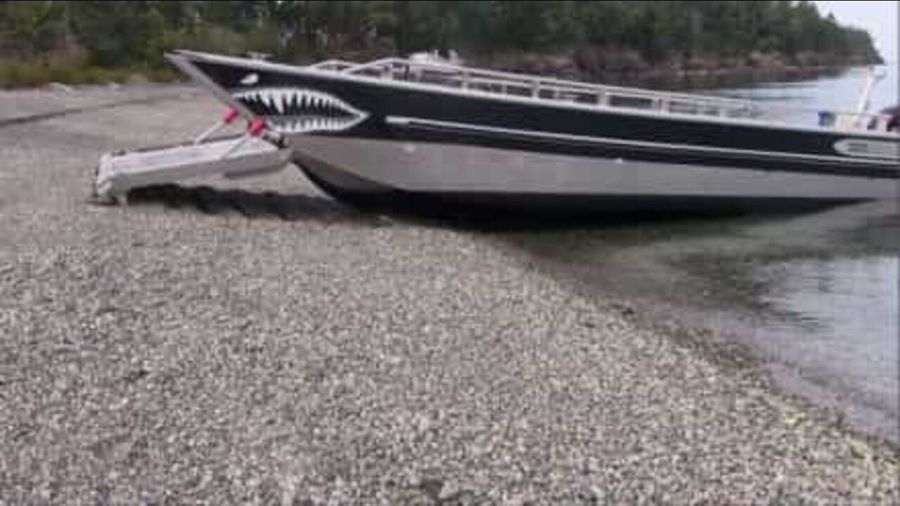 Ce bateau requin est doté d'un excellent mécanisme d'auto-amarrage.