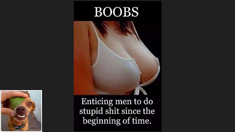 Memes That Will 99.858% Make You Laugh. (e83)