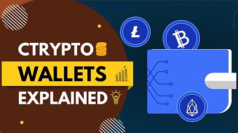 Crypto Wallets Explained for Beginners | What are Crypto Wallets