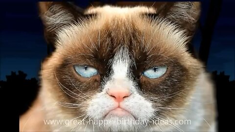 GRUMPY CAT SINGS HAPPY BIRTHDAY (FUNNY)