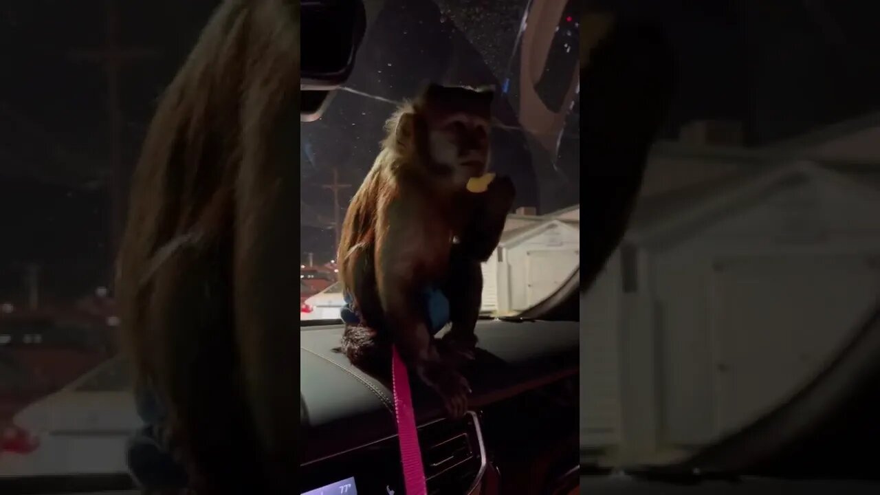 Late Night out! Long but gotta watch!