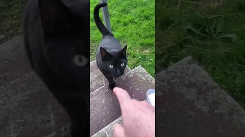 New friend