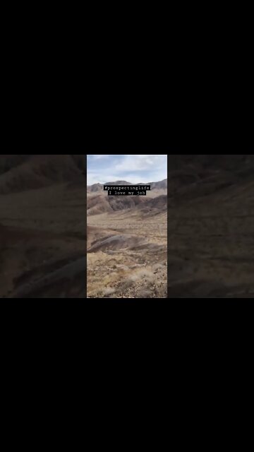 living life to the fullest prospecting professionals Goldiggers702