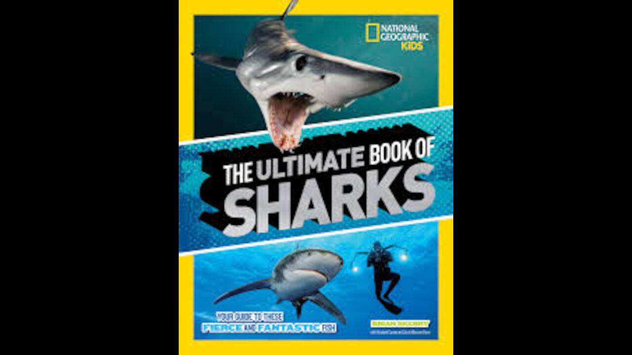 Sharks/National Geographic