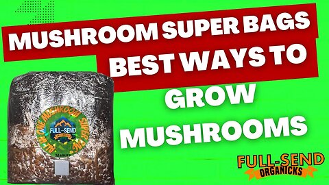 All In One Manure mushroom SUPER Grow bag | Sterilized | Fully hydrated and Ready 2 Rock!! Your ?’s