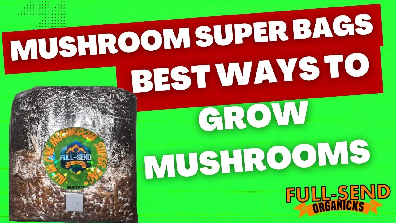 All In One Manure mushroom SUPER Grow bag | Sterilized | Fully hydrated and Ready 2 Rock!! Your ?’s