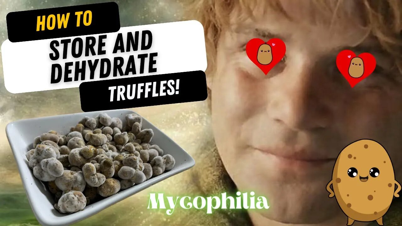 Best Long-Term Truffle Storage and Dehydration Method