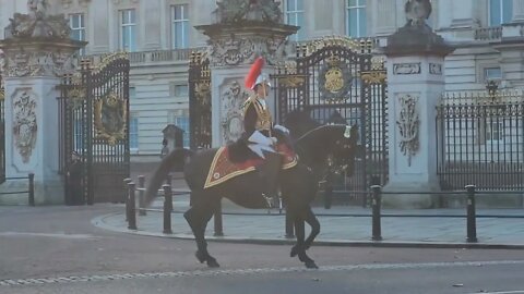 Household cavalry leaves Bucking Palace BLUES AND ROYALS AND THE REDS #buckinghampalace