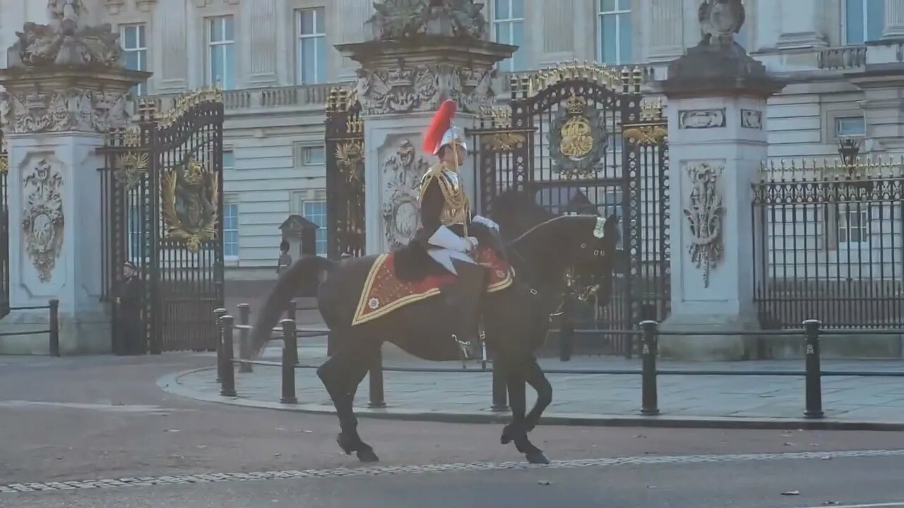 Household cavalry leaves Bucking Palace BLUES AND ROYALS AND THE REDS #buckinghampalace