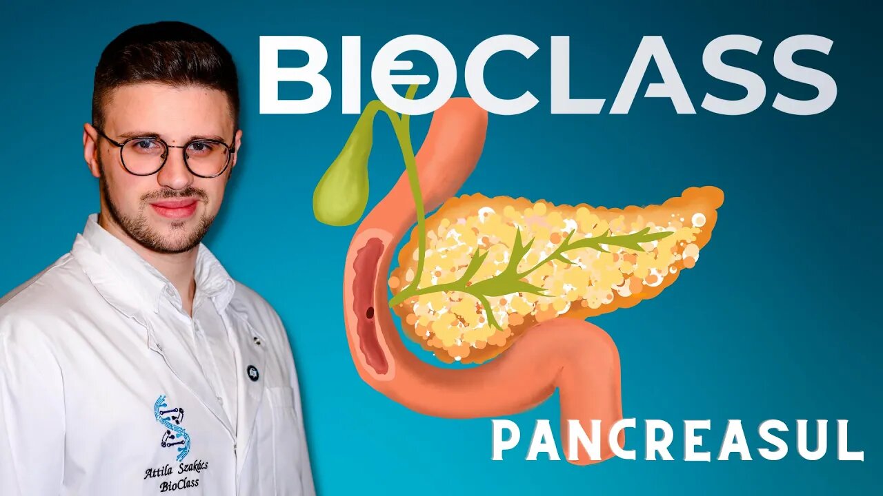 Pancreasul