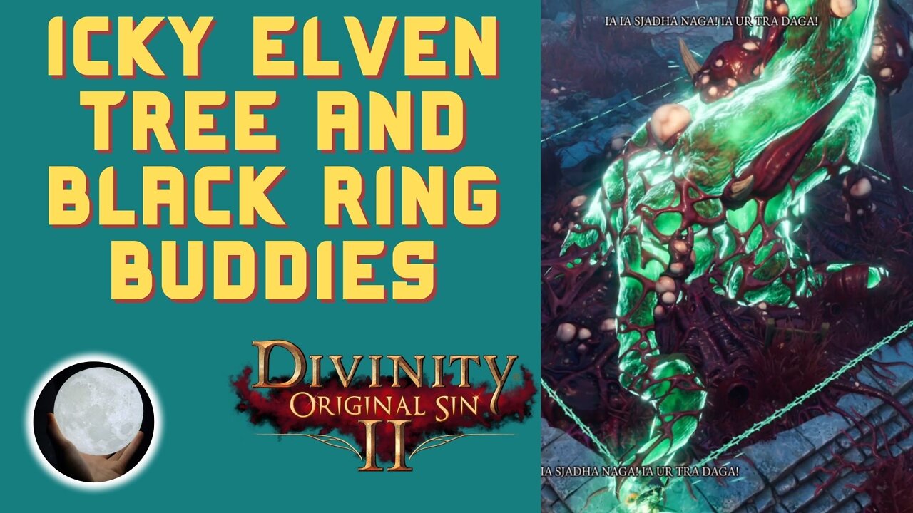 Icky Elven Tree - A Patient Gamer Plays...Divinity Original Sin II: Part 55