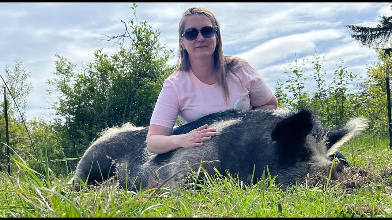 The GREAT Idaho Pasture PIG