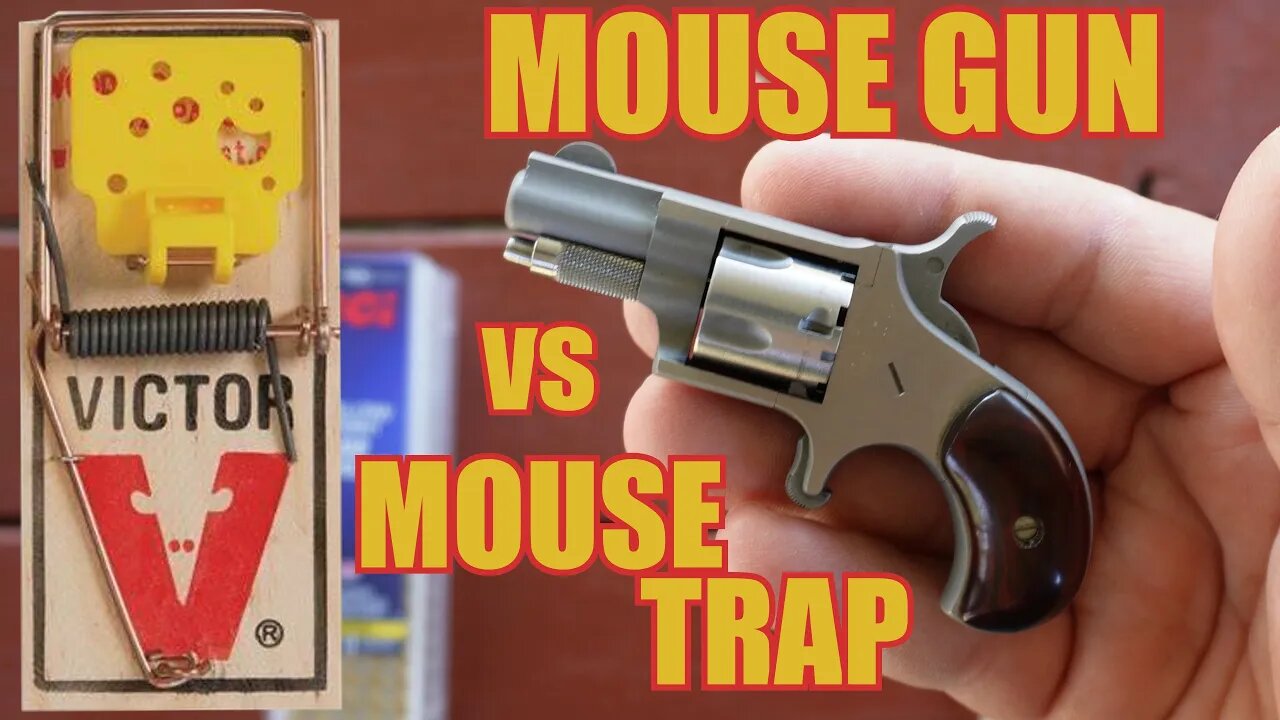 TINY REVOLVER vs MOUSE TRAP 🐭