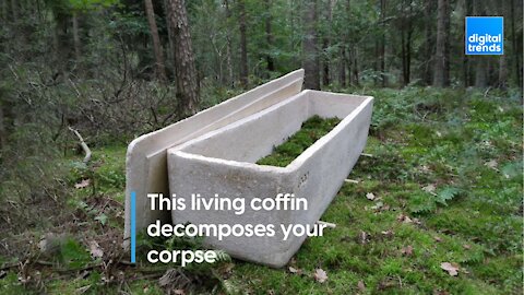 This living coffin decomposes your corpse