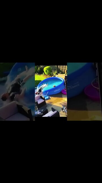 OH NO! #funnyvideo #compilation . #1minutevideo #laughing #fyp #fypage . Shoutout to @lisafunny27