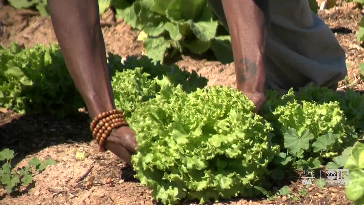 Former Mercury coach working to educate, feed the homeless