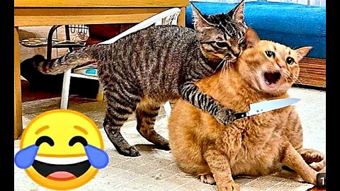 Laugh Out Loud: Hilarious Moments with Cats and Dogs - Funny Animal Compilation😂😂😂🤣 #part3