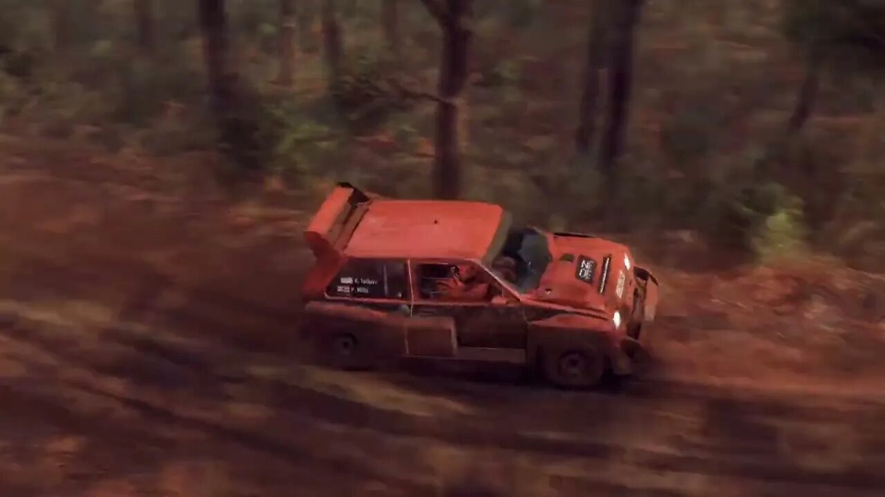 DiRT Rally 2 - Replay - MG Metro 6R4 at Chandlers Creek Reverse