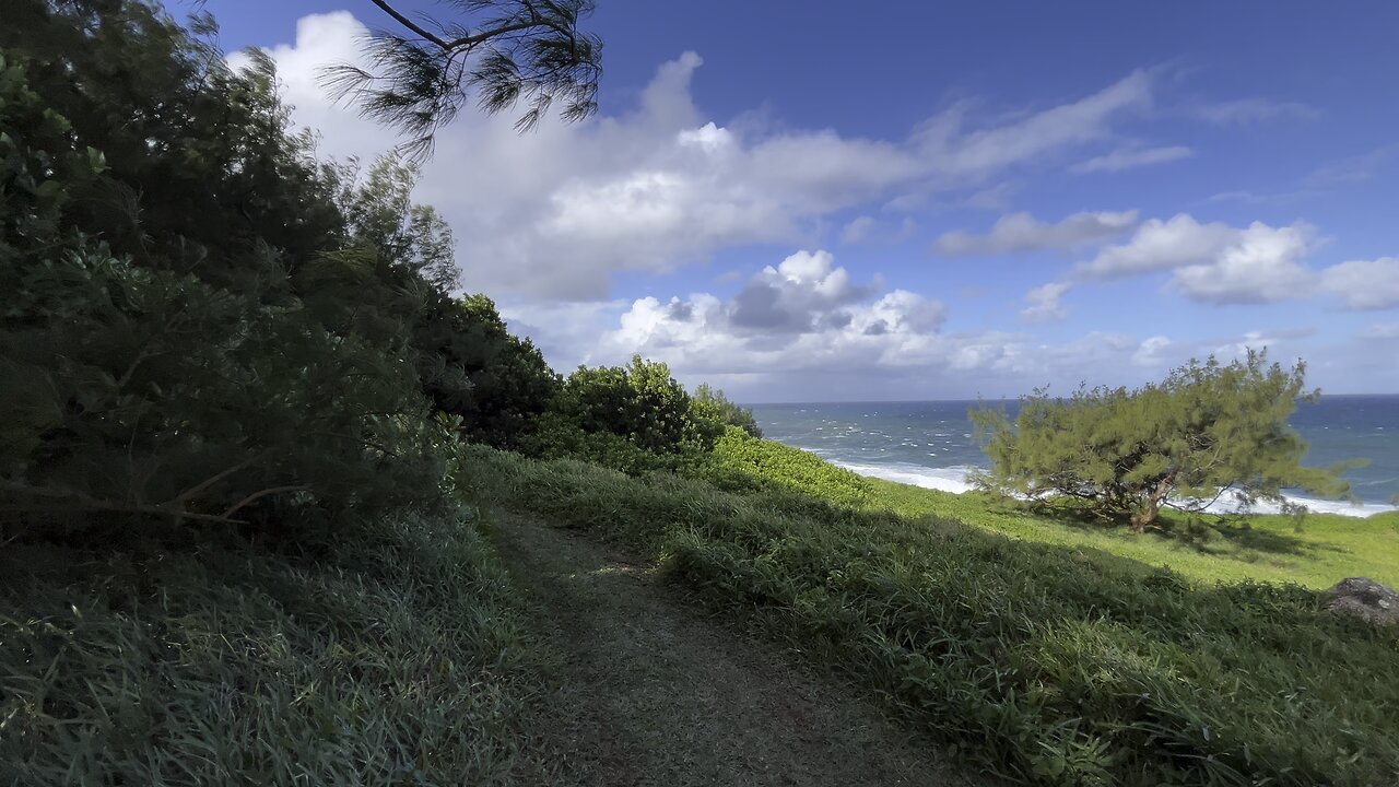 Too windy 🌧️🌧️🏝️☀️🏖️ #viral #talhax #travel #follow