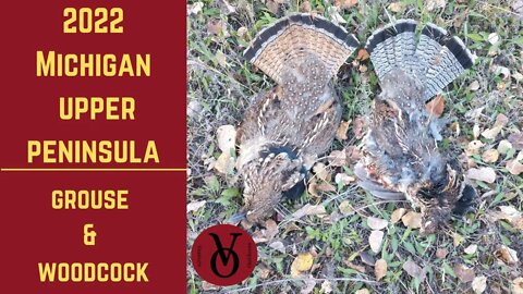 2022 MI Grouse & Woodcock