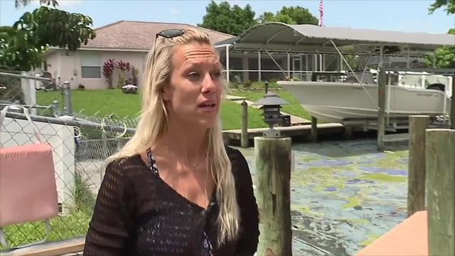 Algae is forcing some to leave Cape Coral