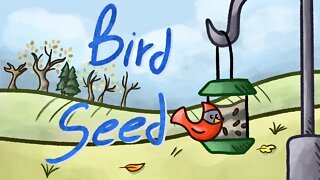 Bird Seed