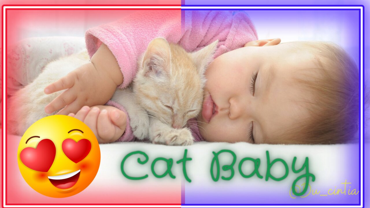 😍🐈 Cute And Cuddly Cat Babies 🐈😍