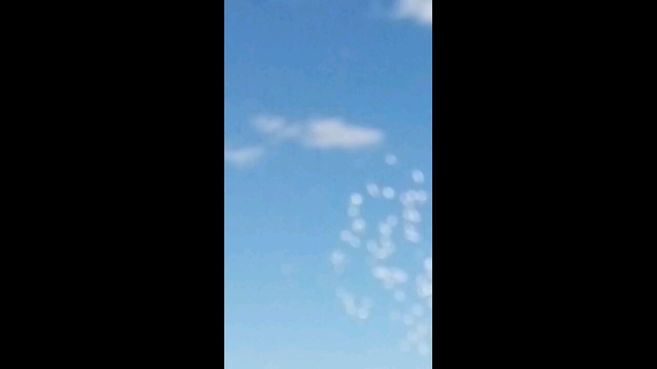 Underside View Huge Flock of Corellas Flyover the River