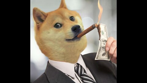 The US Border INVASION