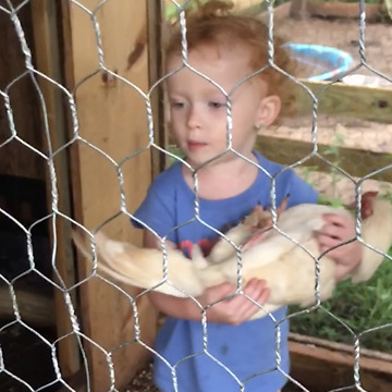 A Tot Girl Rocks A Chicken To Sleep