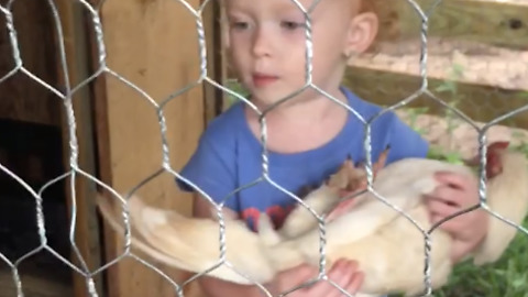 A Tot Girl Rocks A Chicken To Sleep