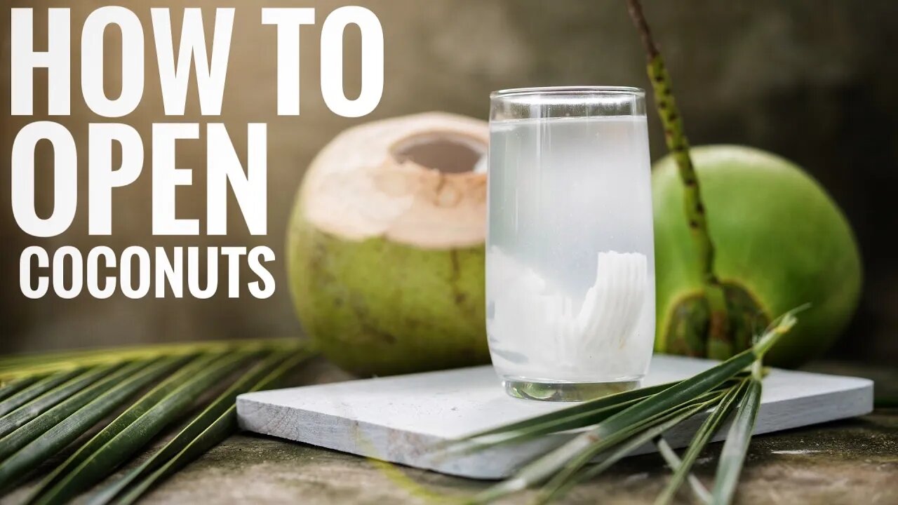 COCONUTS 🥥 EAT & DRINK 🌴 survival skills