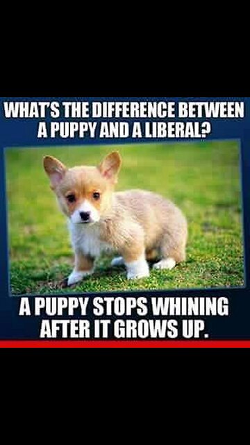 Fentanyl is destroying America. 😡😡😡