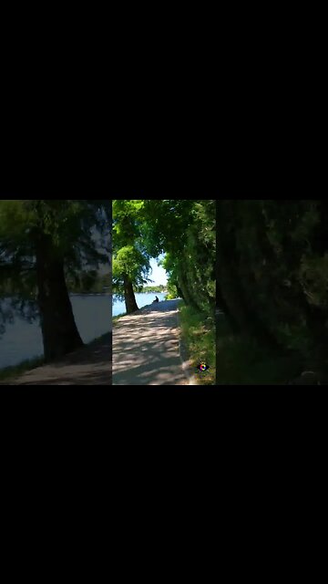 HERASTRAU Park Bike RIDE | Bucharest | Deep house mix | #shorts | 🇷🇴