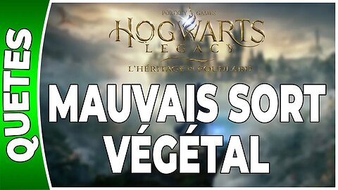 Hogwarts Legacy : l'Héritage de Poudlard - MAUVAIS SORT VÉGÉTAL - Annexe 41 - [FR PS5]