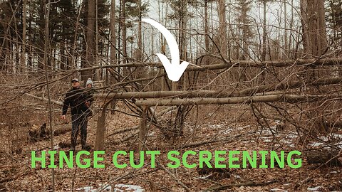 Hinge Cut Property Screening for Better Deer Hunting