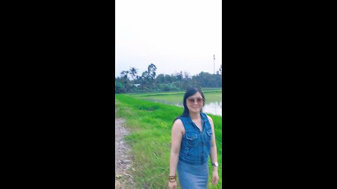 Chiều xuống trên đồng lúa Sài Gòn