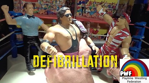 Shawn Michaels vs Bret "The Hitman" Hart - LJN WWF WWE XOX JAKKS Playtime Wrestling Federation - PWF